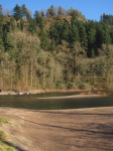November sun (and wind) on the Sandy River